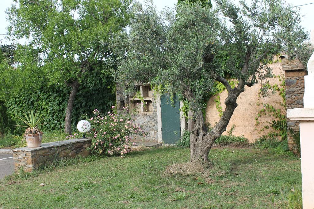Domaine Le Clos Des Oliviers Sorbo-Ocagnano Zewnętrze zdjęcie